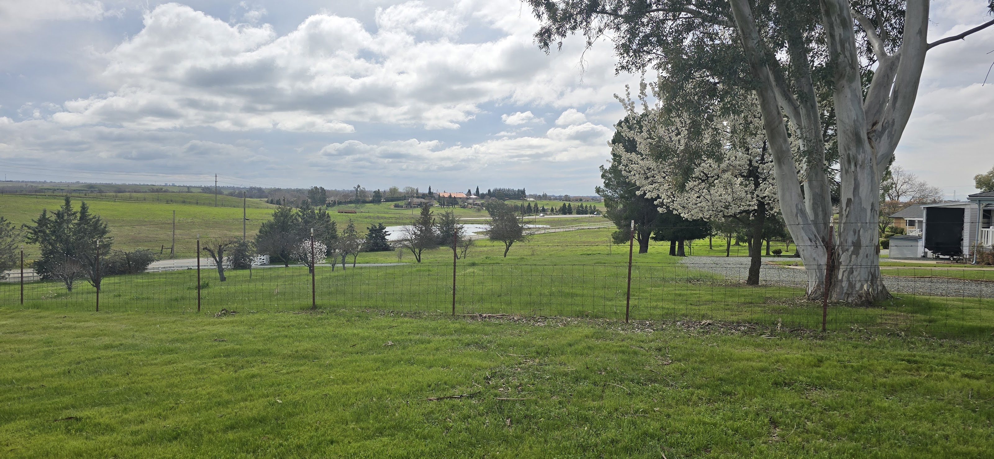 Green pasture, orchard and pond at the ranch